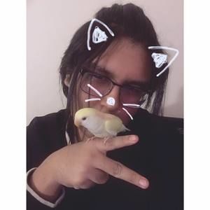 Meet your Posher, Alberto